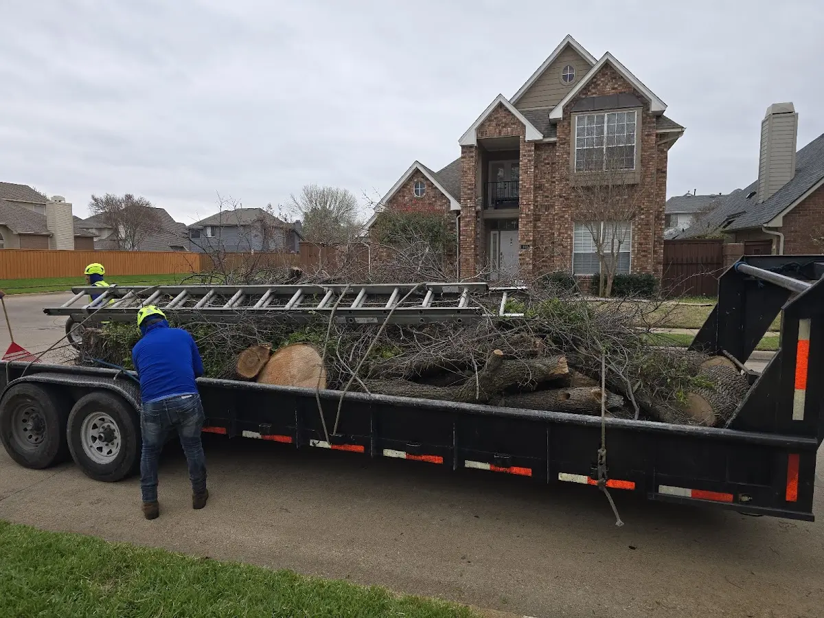 Expert Tree Fertilization with proper safety equipment in Spring Church
